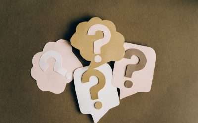 Which website platform is the right one for my business?